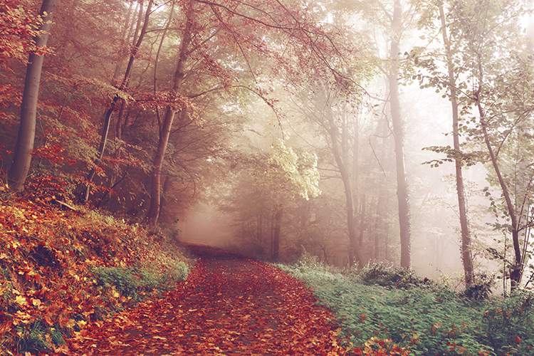St Michael’s Community Weekend – 7th-9th September 2018